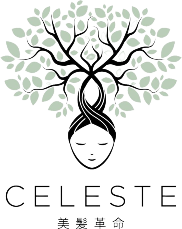 美髪革命CELESTE